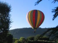 Toujours de l'animation au Chambon sur Lac